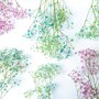 Brievenbus Gipskruid pastel liggend